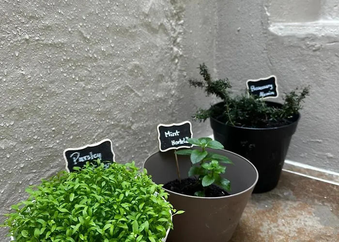 Azores Square House Historic Center Ferienhaus